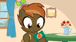 Size: 639x357 | Tagged: safe, artist:jan, button mash, earth pony, pony, button's adventures, g4, animated, colt, crying, foal, hat, hooves, juice, juice box, male, open mouth, ponyville, propeller hat, reaction image, solo