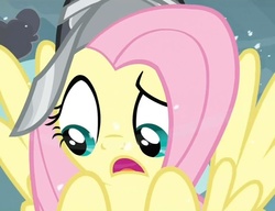 Size: 925x711 | Tagged: safe, screencap, fluttershy, private pansy, g4, hearth's warming eve (episode), my little pony: friendship is magic, female, hearth's warming eve, solo