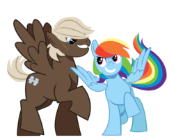 Size: 1374x1098 | Tagged: safe, alternate version, artist:dbkit, dumbbell, rainbow dash, pegasus, pony, g4, dumbdash, duo, female, male, shipping, simple background, straight, transparent background