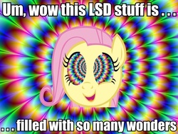 Size: 960x720 | Tagged: safe, fluttershy, g4, flutterhigh, image macro, lsd