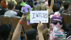 Size: 1281x714 | Tagged: safe, artist:chillzmaster, princess cadance, spike, human, bronycon, g4, /mlp/, 4chan, irl, irl human, iwtcird, photo, plushie, spike plushie, this guy deserves a medal