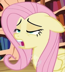 Size: 500x552 | Tagged: safe, screencap, fluttershy, g4, female, hub logo, out of context, solo