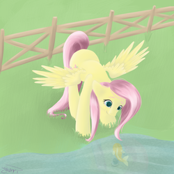 Size: 4800x4800 | Tagged: safe, artist:emiliearts, fluttershy, fish, g4, absurd resolution, female, fence, solo, water