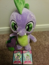 Size: 1377x1836 | Tagged: safe, spike, g4, build-a-bear, card, irl, photo, plushie, spike plushie, toy