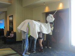 Size: 4000x3000 | Tagged: safe, princess celestia, human, bronycon, g4, cosplay, irl, irl human, photo, the numbered