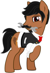 Size: 1324x1924 | Tagged: safe, artist:ravenevert, oc, oc only, earth pony, pony, simple background, solo, transparent background, vector