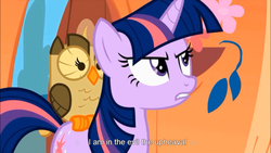 Size: 750x422 | Tagged: safe, screencap, twilight sparkle, g4, meme, youtube caption