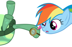 Size: 6001x3911 | Tagged: safe, artist:sakatagintoki117, rainbow dash, tank, pegasus, pony, tortoise, g4, duo, simple background, transparent background, vector