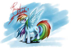 Size: 2288x1639 | Tagged: safe, artist:peperoger, rainbow dash, g4, female, solo