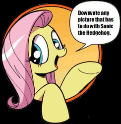 Size: 421x431 | Tagged: safe, idw, fluttershy, derpibooru, friendship is magic #3, g4, my little pony: friendship is magic (idw), adventure in the comments, bad advice fluttershy, crossover, exploitable meme, female, meme, meta, solo, sonic drama, sonic the hedgehog (series)