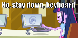 Size: 854x419 | Tagged: safe, twilight sparkle, equestria girls, g4, image macro