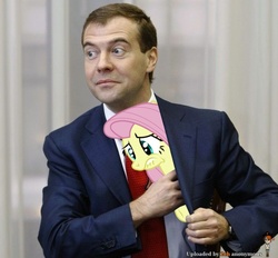 Size: 610x565 | Tagged: safe, fluttershy, human, g4, dmitry medvedev, irl, irl human, photo, russian