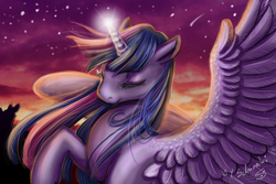 Size: 826x552 | Tagged: safe, artist:schiraki, twilight sparkle, alicorn, pony, g4, female, mare, solo, twilight sparkle (alicorn)