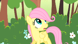 Size: 500x281 | Tagged: safe, screencap, fluttershy, g4, season 1, the cutie mark chronicles, animated, blank flank, female, filly, filly fluttershy, hair flip, solo, younger