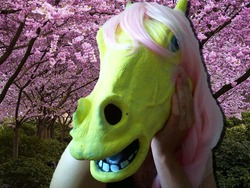 Size: 800x600 | Tagged: safe, fluttershy, human, g4, cosplay, hoers mask, irl, irl human, photo, waifuwaifuflutterass