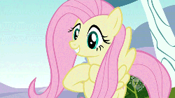 Size: 500x281 | Tagged: safe, screencap, fluttershy, pegasus, pony, g4, may the best pet win, animated, cute, female, hub logo, solo