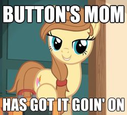 Size: 621x560 | Tagged: safe, artist:jan, oc, oc only, oc:cream heart, earth pony, pony, button's adventures, g4, button's mom has got it going on, cutie mark, female, fountains of wayne, hooves, image macro, mare, smiling, solo, song reference, stacey's mom, teeth, text, truth