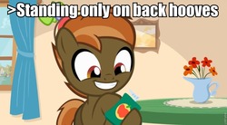 Size: 928x512 | Tagged: safe, button mash, earth pony, pony, button's adventures, g4, button, caption, colt, foal, greentext, hooves, male, ponyville, smiling, solo, teeth, text