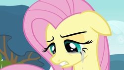 Size: 1280x720 | Tagged: safe, screencap, fluttershy, pegasus, pony, g4, hurricane fluttershy, crying, female, floppy ears, fluttercry, mare, sad, solo, teary eyes