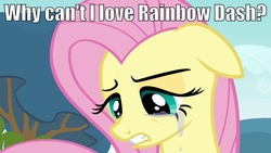 Size: 1280x720 | Tagged: safe, edit, edited screencap, screencap, fluttershy, g4, hurricane fluttershy, crying, female, floppy ears, image macro, implied flutterdash, implied lesbian, implied shipping, op is trying to start shit, solo