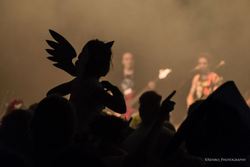 Size: 960x640 | Tagged: safe, artist:xen photography, human, bronycon, bronycon 2013, concert, cosplay, dark, irl, irl human, musical instrument, photo, rave, silhouette