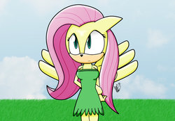Size: 1024x713 | Tagged: safe, artist:alexthf, fluttershy, anthro, g4, female, solo, sonic the hedgehog (series), sonicified, species swap, style emulation
