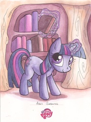 Size: 639x865 | Tagged: safe, artist:agnes garbowska, idw, twilight sparkle, g4, book, female, magic, solo