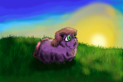 Size: 1200x800 | Tagged: safe, fluffy pony, fluffy pony original art, solo, sunset