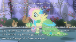 Size: 1066x591 | Tagged: safe, edit, edited screencap, screencap, fluttershy, duck, squirrel, g4, my little pony: friendship is magic, the best night ever, clothes, dress, female, gala dress, grand galloping gala, insane pony thread, solo, tumblr