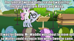 Size: 640x360 | Tagged: safe, edit, edited screencap, screencap, coco crusoe, colter sobchak, fuzzy slippers, lyra heartstrings, mr. waddle, oakey doke, sweetie belle, theodore donald "donny" kerabatsos, welch, earth pony, pony, unicorn, g4, hearts and hooves day (episode), read it and weep, the cutie pox, background pony, cancer pony, clerical collar, donny, elderly, female, filly, funeral, glasses, headcanon, hearts and hooves day, image macro, liver spots, male, stallion, the big lebowski, the perfect stallion, walter sobchak