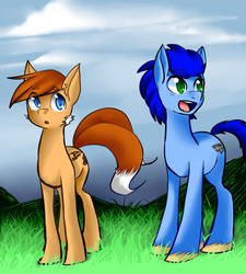 Size: 900x1000 | Tagged: safe, artist:pyupew, pony, male, miles "tails" prower, ponified, sonic the hedgehog, sonic the hedgehog (series)