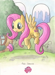 Size: 641x868 | Tagged: safe, artist:agnesgarbowska, idw, fluttershy, butterfly, g4, female, solo, traditional art