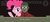 Size: 602x269 | Tagged: safe, artist:vulapa, pinkie pie, g4, inspector, papers please