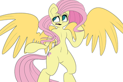 Size: 1280x853 | Tagged: safe, artist:extradan, fluttershy, pony, g4, belly button, bipedal, female, large wings, oversized wings, solo, wings