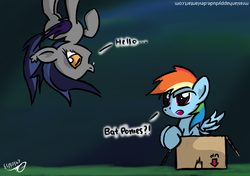 Size: 2480x1748 | Tagged: safe, artist:mrasianhappydude, rainbow dash, oc, oc:echo, bat pony, pegasus, pony, g4, box, duo, duo female, female, pony in a box, upside down