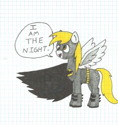 Size: 868x920 | Tagged: safe, artist:emopandaman, derpy hooves, pegasus, pony, g4, batman, batmare, crossover, female, mare, parody, solo