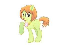 Size: 1650x1275 | Tagged: safe, artist:shivery-ao, pony, anime, attack on titan, crossover, element of kindness, kindness, petra ral, ponified, simple background, solo, transparent background