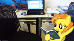 Size: 3264x1836 | Tagged: safe, artist:daweioflife, spitfire, g4, adobe, book, chair, computer mouse, cup, irl, laptop computer, photo, ponies in real life, ship, vector