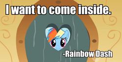 Size: 844x433 | Tagged: safe, rainbow dash, g4, exploitable meme, image macro, iwtcird