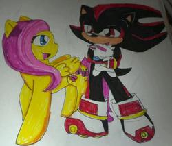 Size: 540x460 | Tagged: safe, artist:spunkymongoose, angel bunny, fluttershy, g4, crossover, crossover shipping, female, fluttershadow, interspecies, love, male, shadow the hedgehog, shipping, sleeping, sonic the hedgehog (series), straight, traditional art