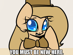 Size: 650x495 | Tagged: safe, artist:slavedemorto, oc, oc only, oc:backy, ask, condescending wonka, meme, ponified meme, roald dahl, solo, tumblr, willy wonka, willy wonka and the chocolate factory