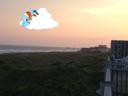 Size: 3264x2448 | Tagged: safe, artist:boltblazer, rainbow dash, g4, beach, building, cloud, irl, photo, ponies in real life, solo, vector, wave