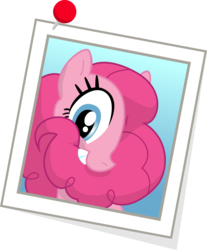 Size: 1590x1916 | Tagged: safe, artist:stainless33, pinkie pie, g4, female, simple background, solo, transparent background, vector