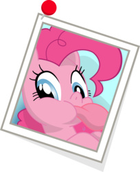 Size: 1630x1993 | Tagged: safe, artist:stainless33, pinkie pie, earth pony, pony, g4, camera, female, mare, photo, simple background, solo, transparent background, vector