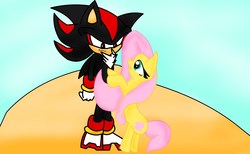 Size: 3067x1893 | Tagged: safe, artist:eliteyagami64, fluttershy, g4, crossover, male, shadow the hedgehog, sonic the hedgehog, sonic the hedgehog (series)