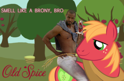 Size: 487x318 | Tagged: safe, artist:multigal, big macintosh, earth pony, pony, g4, african american, i'm on a horse, isaiah mustafa, male, old spice, old spice guy, stallion, sweet apple acres