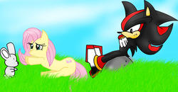 Size: 2499x1296 | Tagged: safe, artist:eliteyagami64, fluttershy, rabbit, g4, crossover, male, rock, shadow the hedgehog, sitting, sonic the hedgehog, sonic the hedgehog (series)
