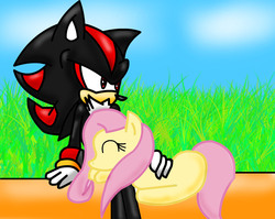 Size: 1825x1455 | Tagged: safe, artist:eliteyagami64, fluttershy, g4, crossover, friendshipping, male, shadow the hedgehog, sitting, sleeping, sonic the hedgehog, sonic the hedgehog (series)