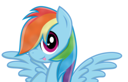 Size: 4880x3144 | Tagged: safe, artist:willowtails, rainbow dash, g4, female, portrait, solo