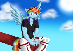 Size: 1590x1117 | Tagged: safe, artist:flameydragwasp, rainbow dash, anthro, g4, clothes, female, goggles, muscles, pants, rainbuff dash, solo